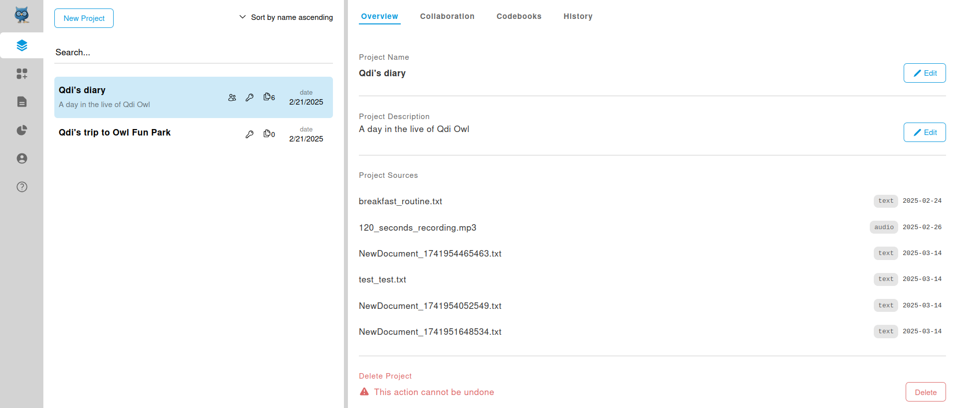 project overview